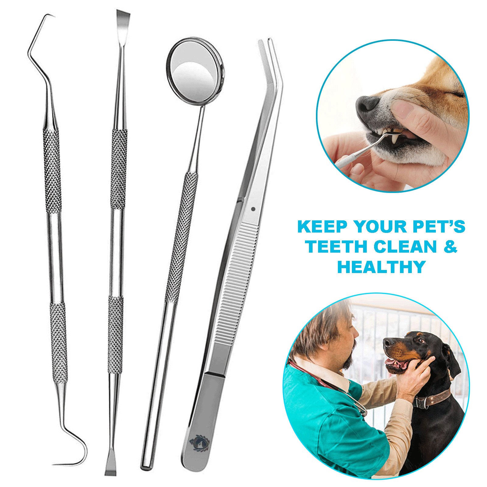 DENTAL DOG PETS TEETH CLEANING SET DENTIST SCRAPER TOOTH PICK ORAL CARE KIT 4 PC