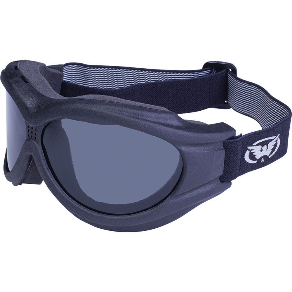 Global Vision Eyewear Men’s Big Ben Goggles with Anti-Fog Lenses and Pouch