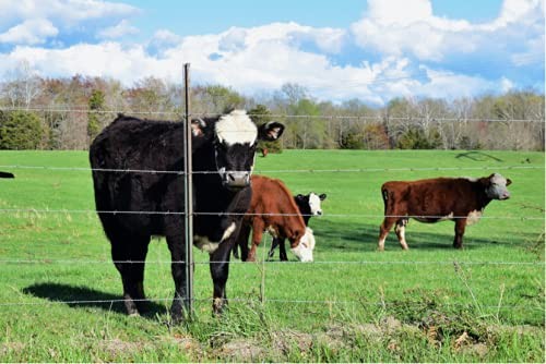 AgriOtter Electric Fence Energizer 20 Acre 2 in 1 Powered by Battery or AC Ou…