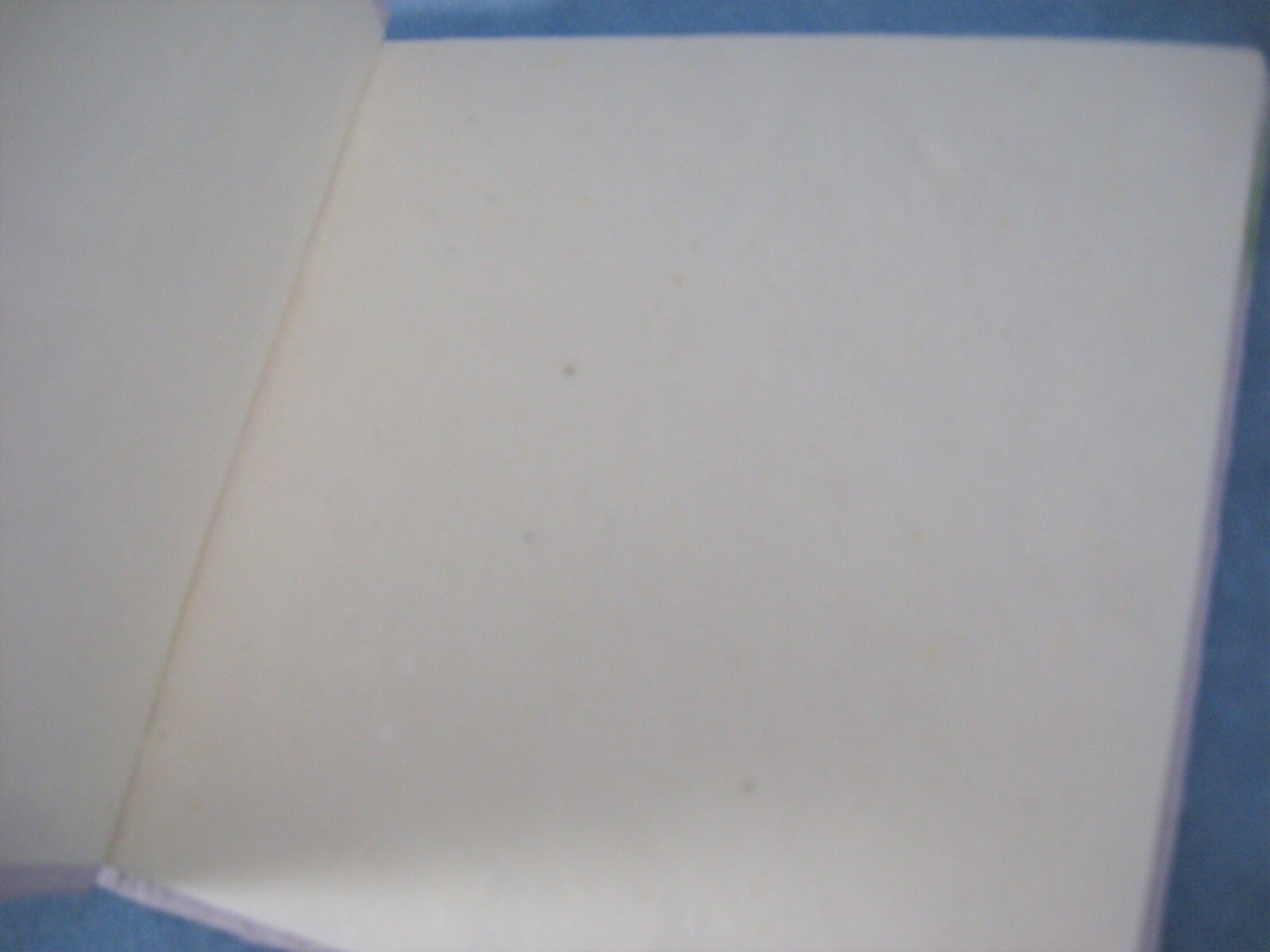 2 Handmade Natural Paper Blank Book-Journal-Diary-Notepad-Dream Book-Memo NOS