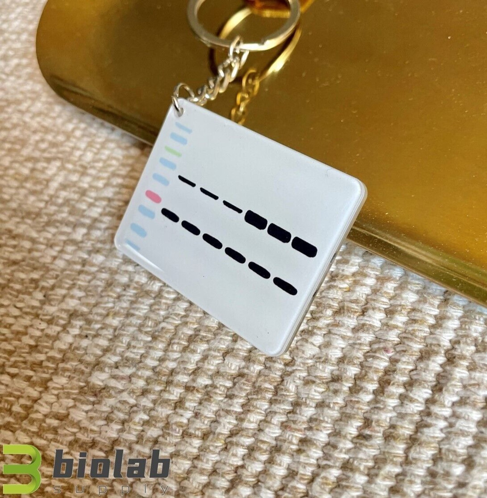 Western blot keychain, Original design research keychain