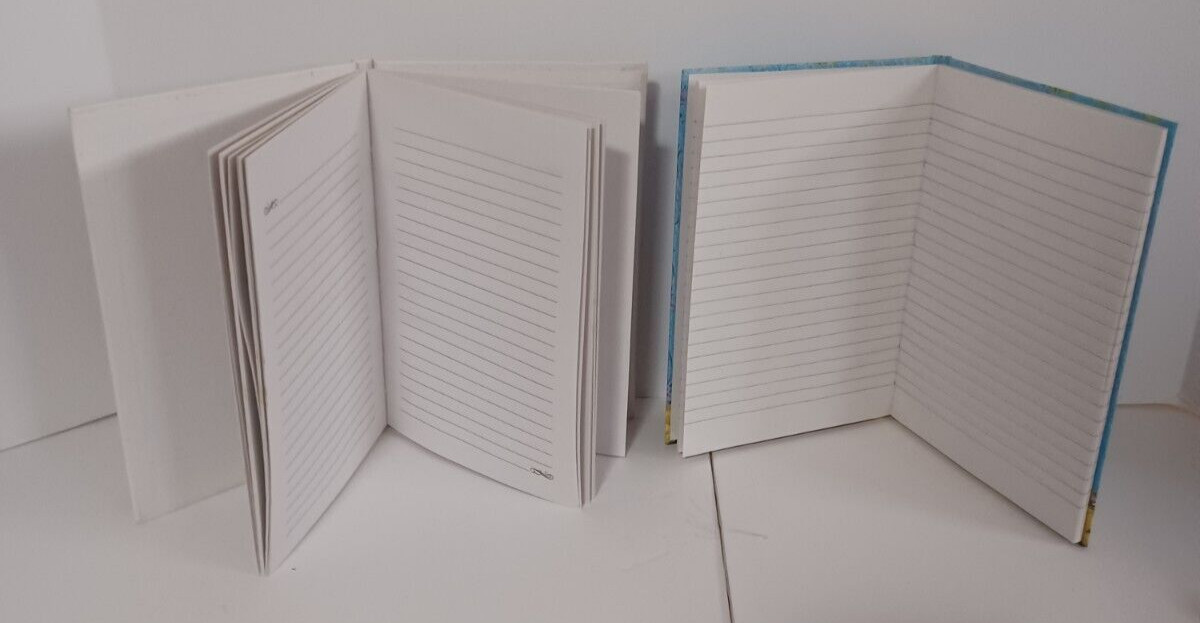 Journals Diary Books 2 Lot Set Diaries Writing Thoughts Memories Lined Notebooks