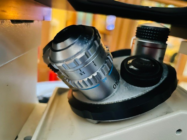 Olympus IMT-2 Inverted Phase Contrast Microscope