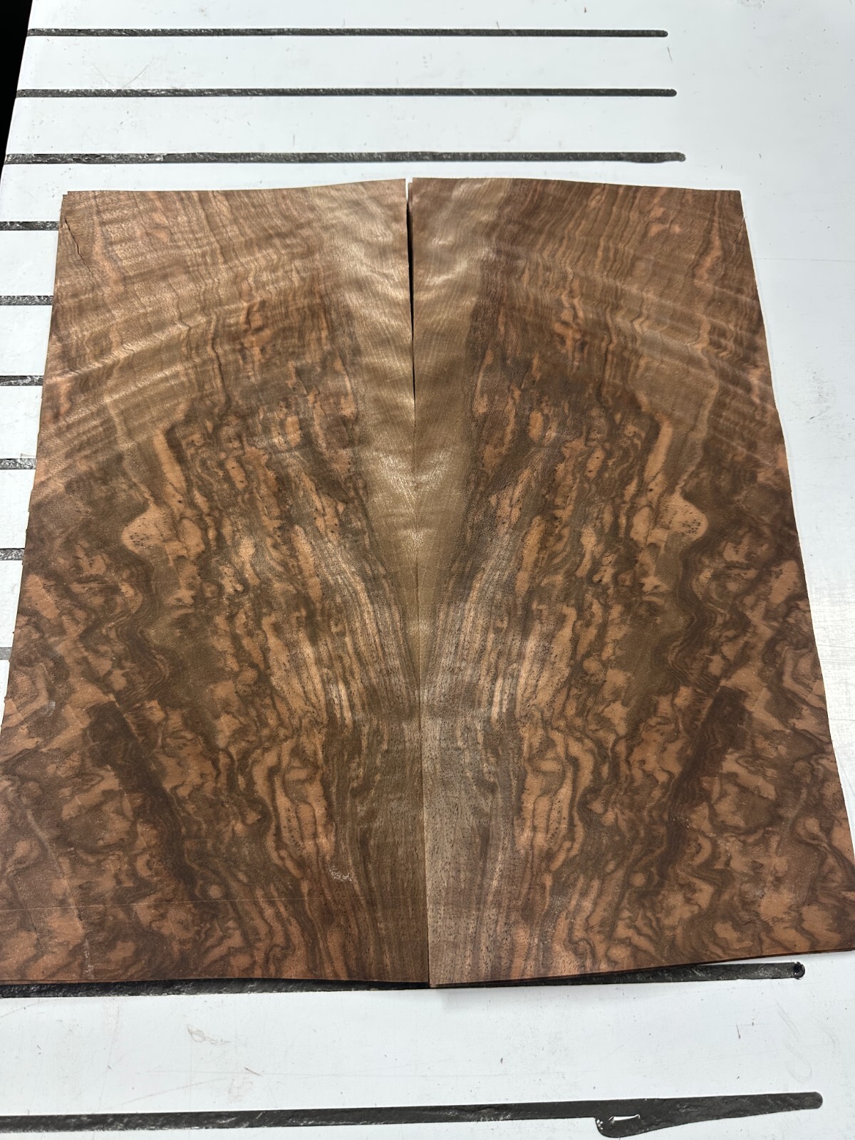 European Walnut Burl Raw Wood Veneer 2 sheets 16.5» x 7.5» 331DD