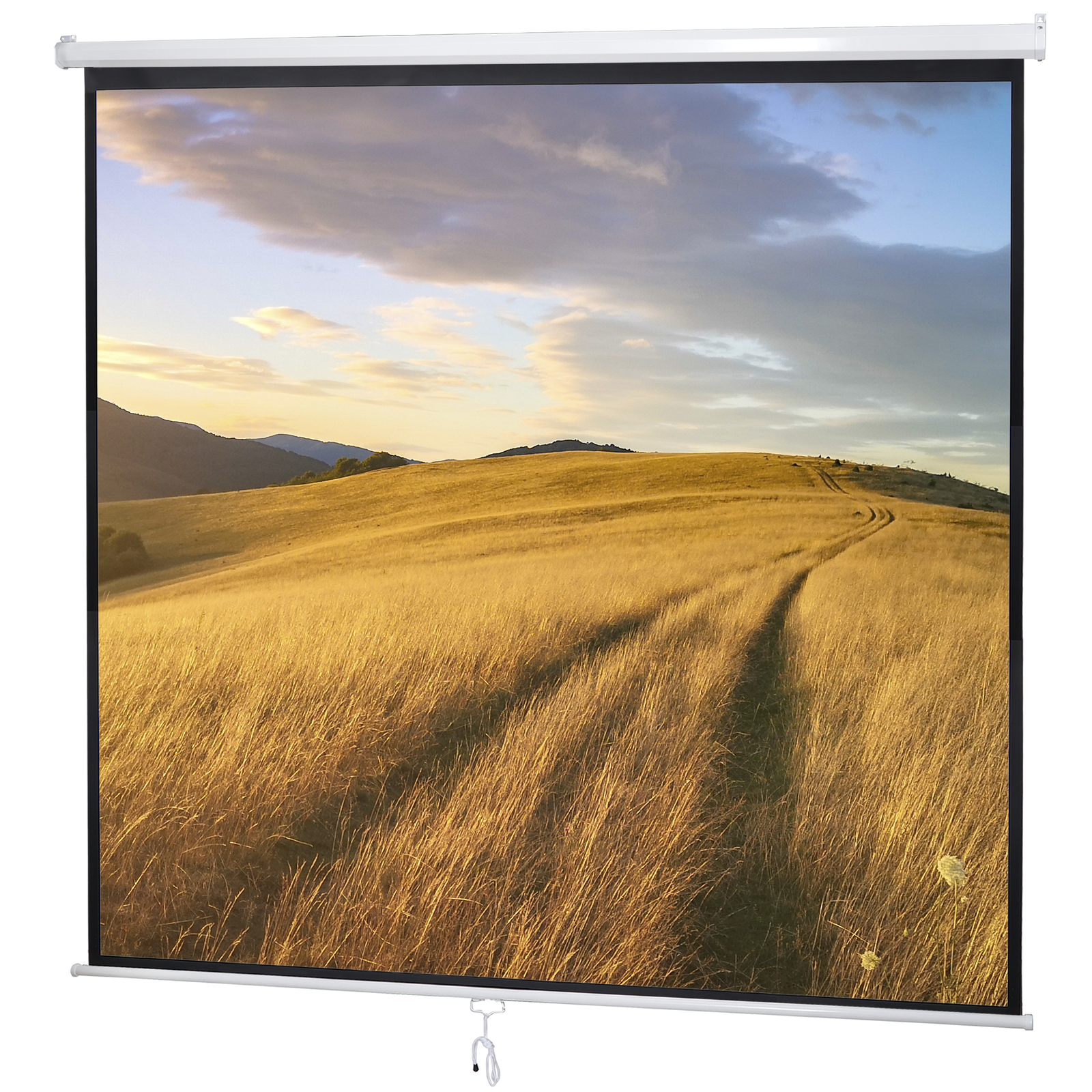 120» Projector Screen Projection Screen Manual Pull Down HD Screen 1:1 Format