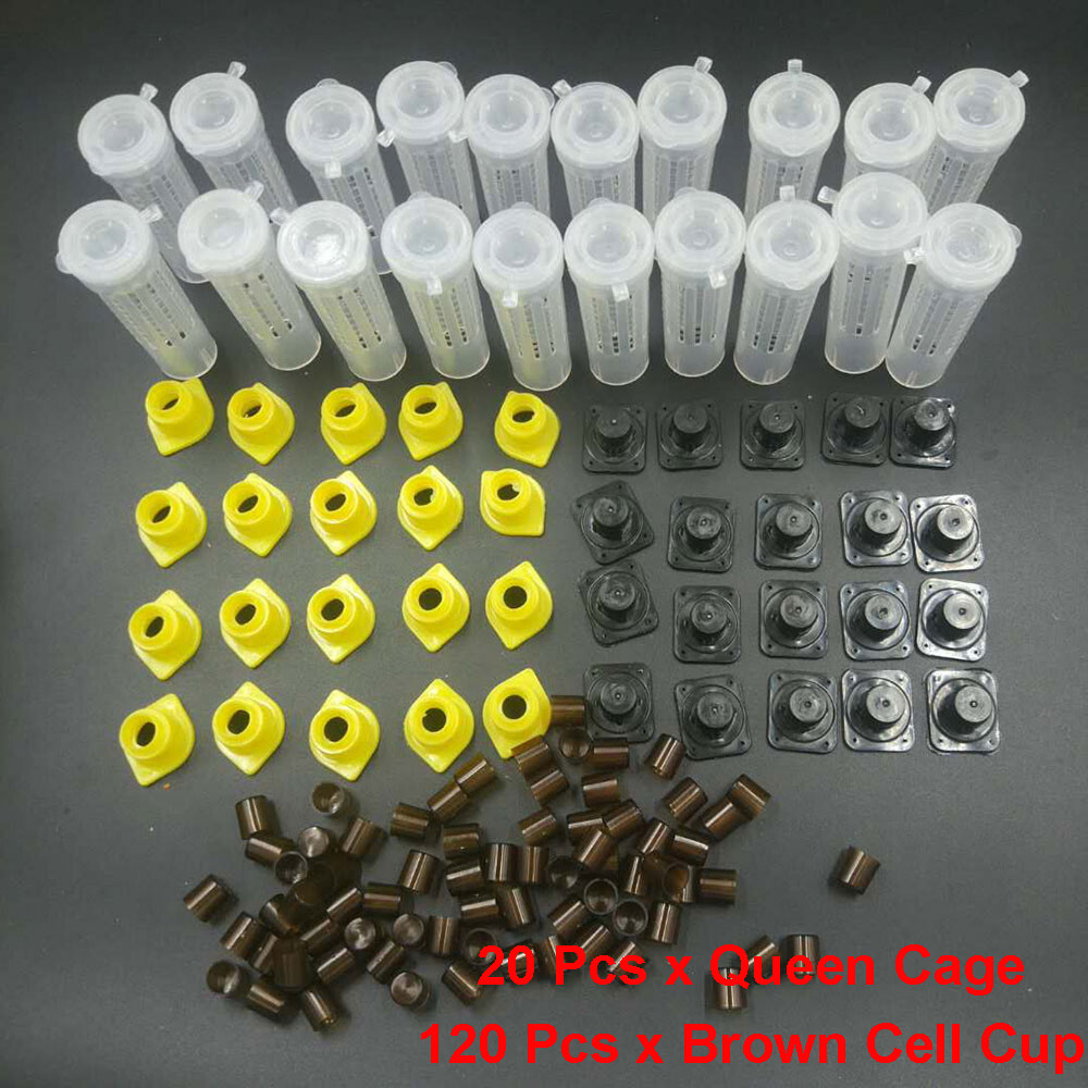 1Set Bees Tools Cages King Queen Apicultura Kit Complete Nicot Cage Cups Cell~
