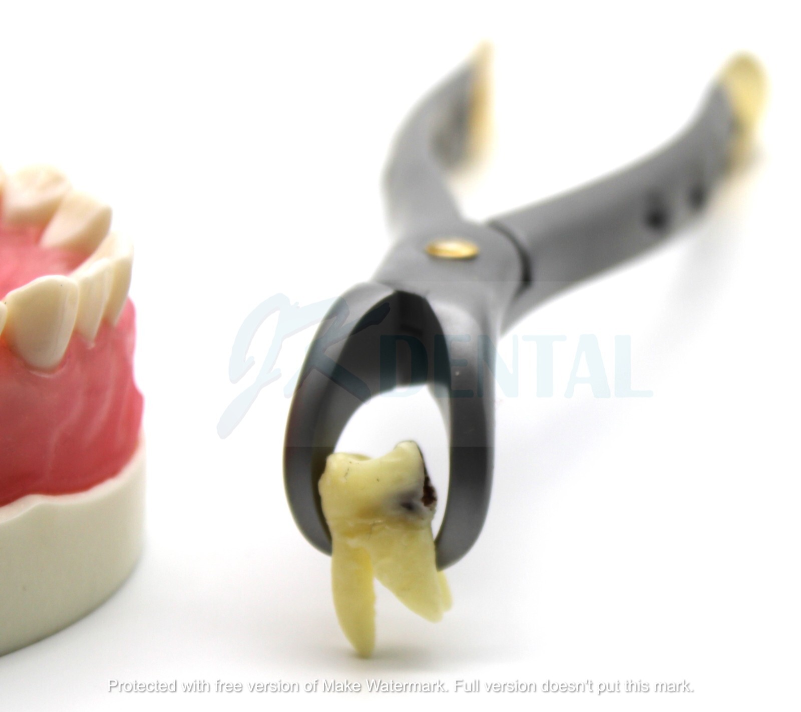 Dental Extraction Forceps #23 Cowhorn Lower Molar Surgical Forceps
