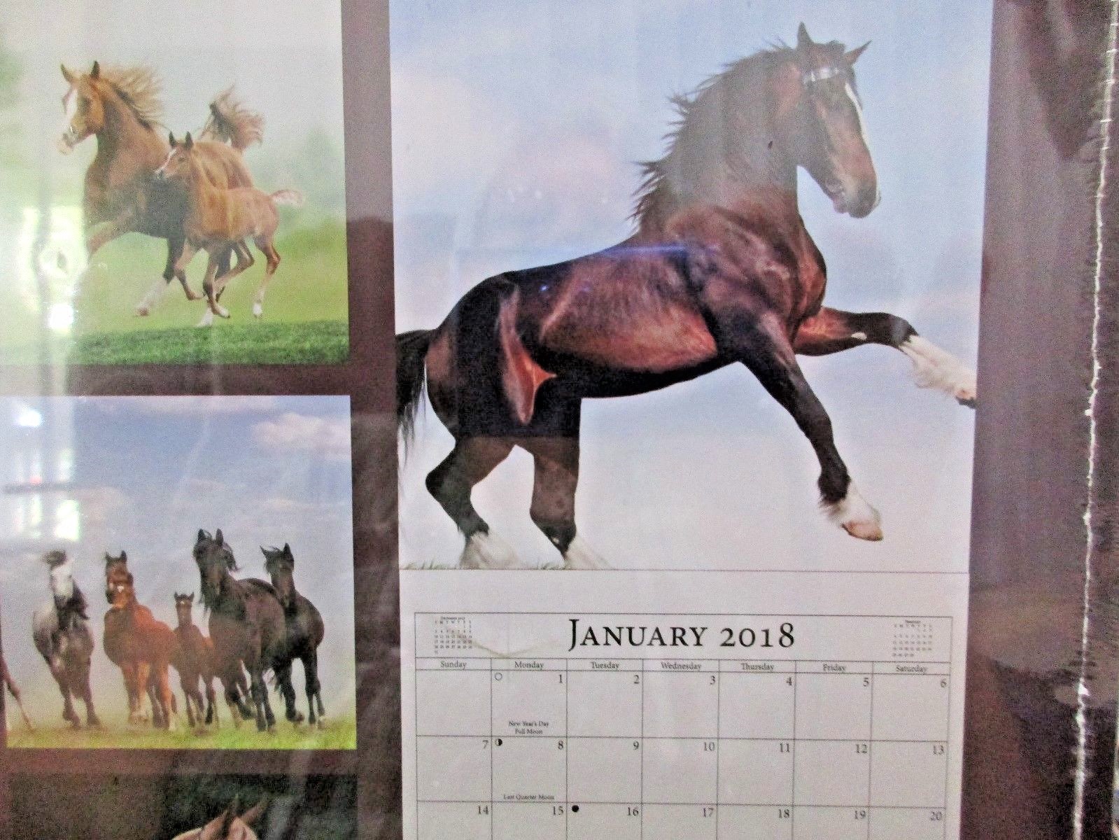 Horses 2018 Calendar 12 Months Pinto Palemino Black Brown Race 12″ X 12″
