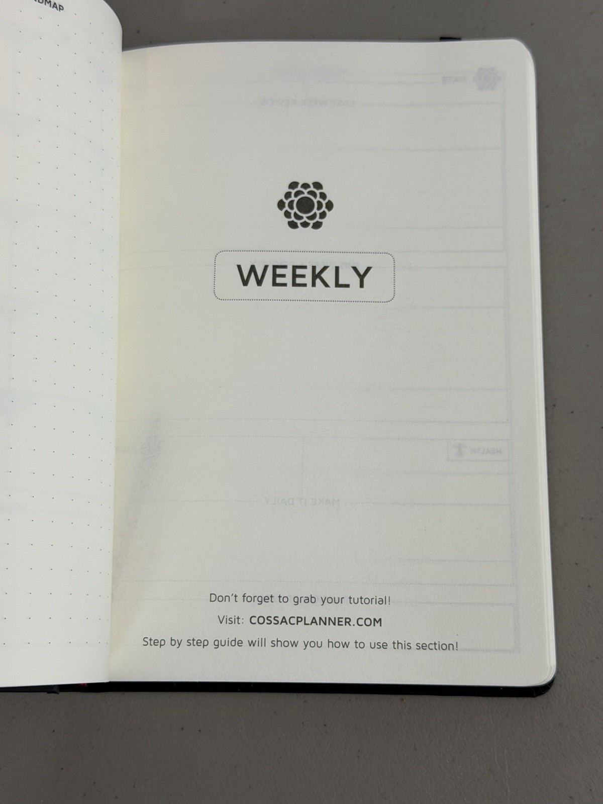 Panda Planner Cossa Planner Daily Monthly Weekly Undated Lot of 2