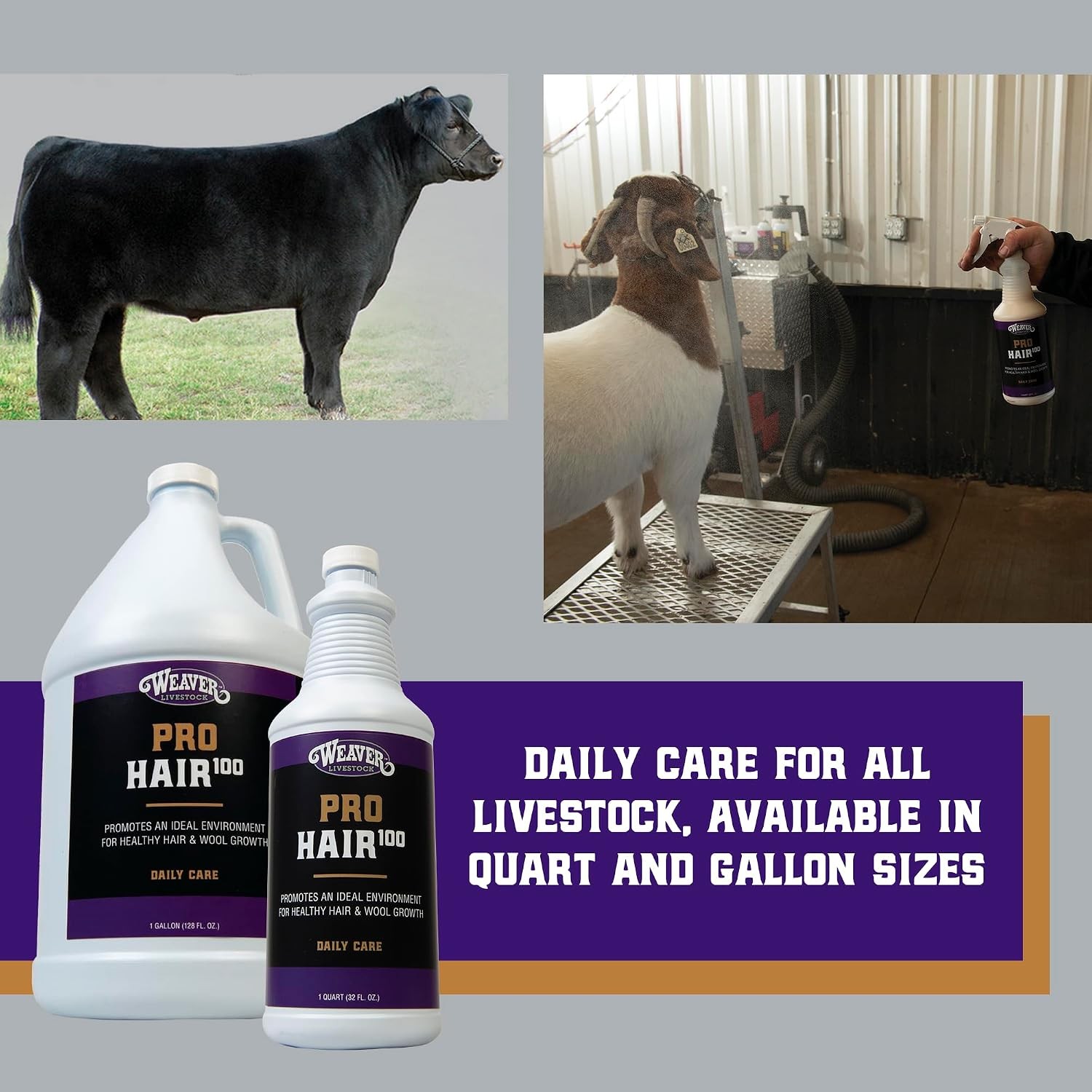 Weaver Livestock ProHair100 Healthy Hair and Wool Rejuvenating Livestock Hair Co