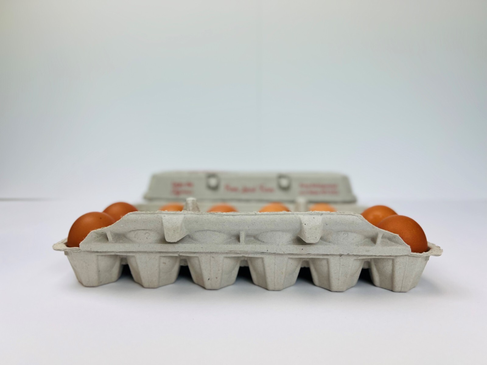 Printed Egg Cartons (Barn) – 100 units