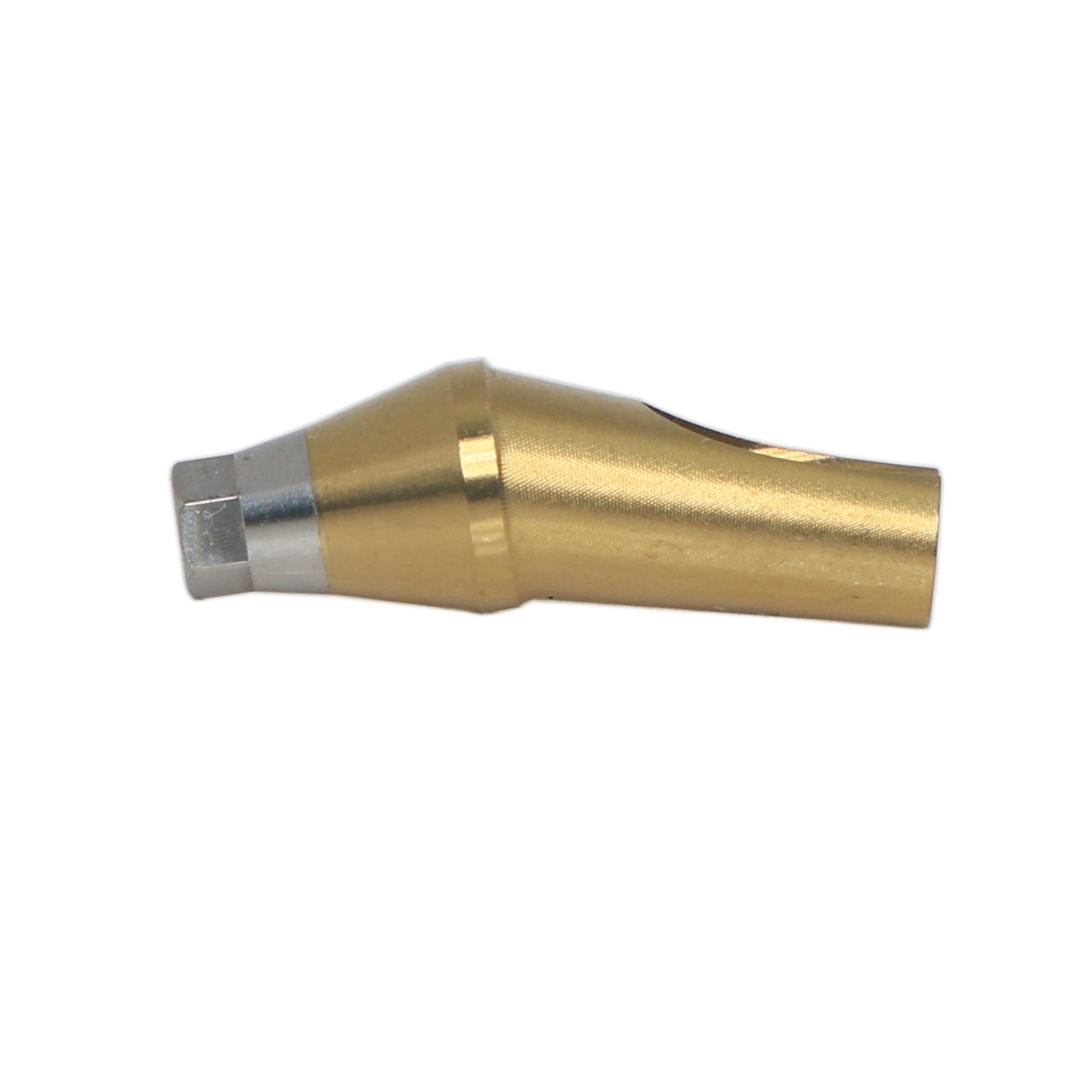 17° Angled Anatomic Abutment Regular Ø5.0mm For Hiossen Osstem Platform Implant