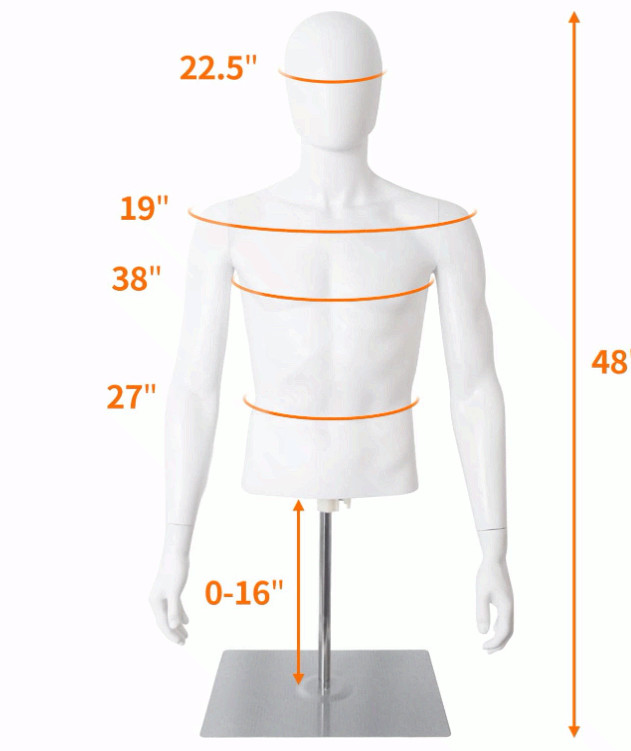 Male Half Body Mannequin with Adjustable Metal Stand for Retail Display, White