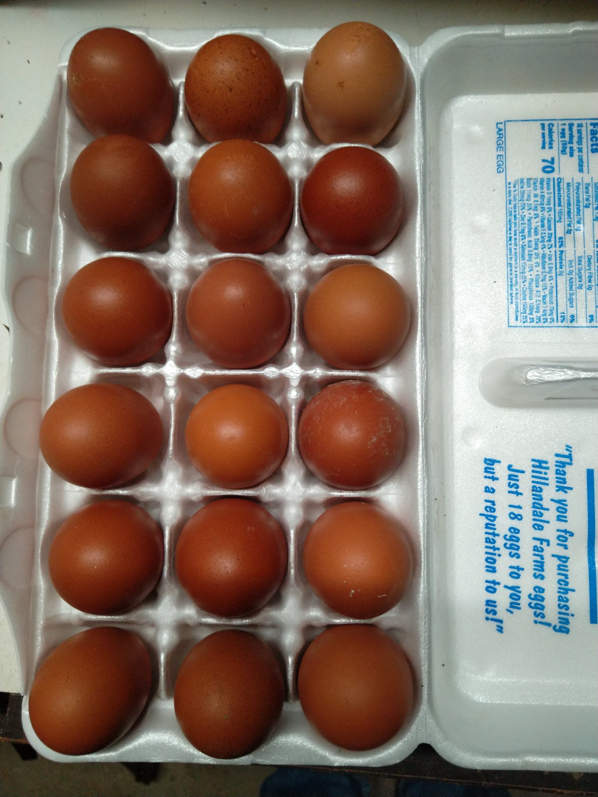 18+ French Black Copper Maran FBCM chicken fertile hatching eggs FAST SHIPPING!