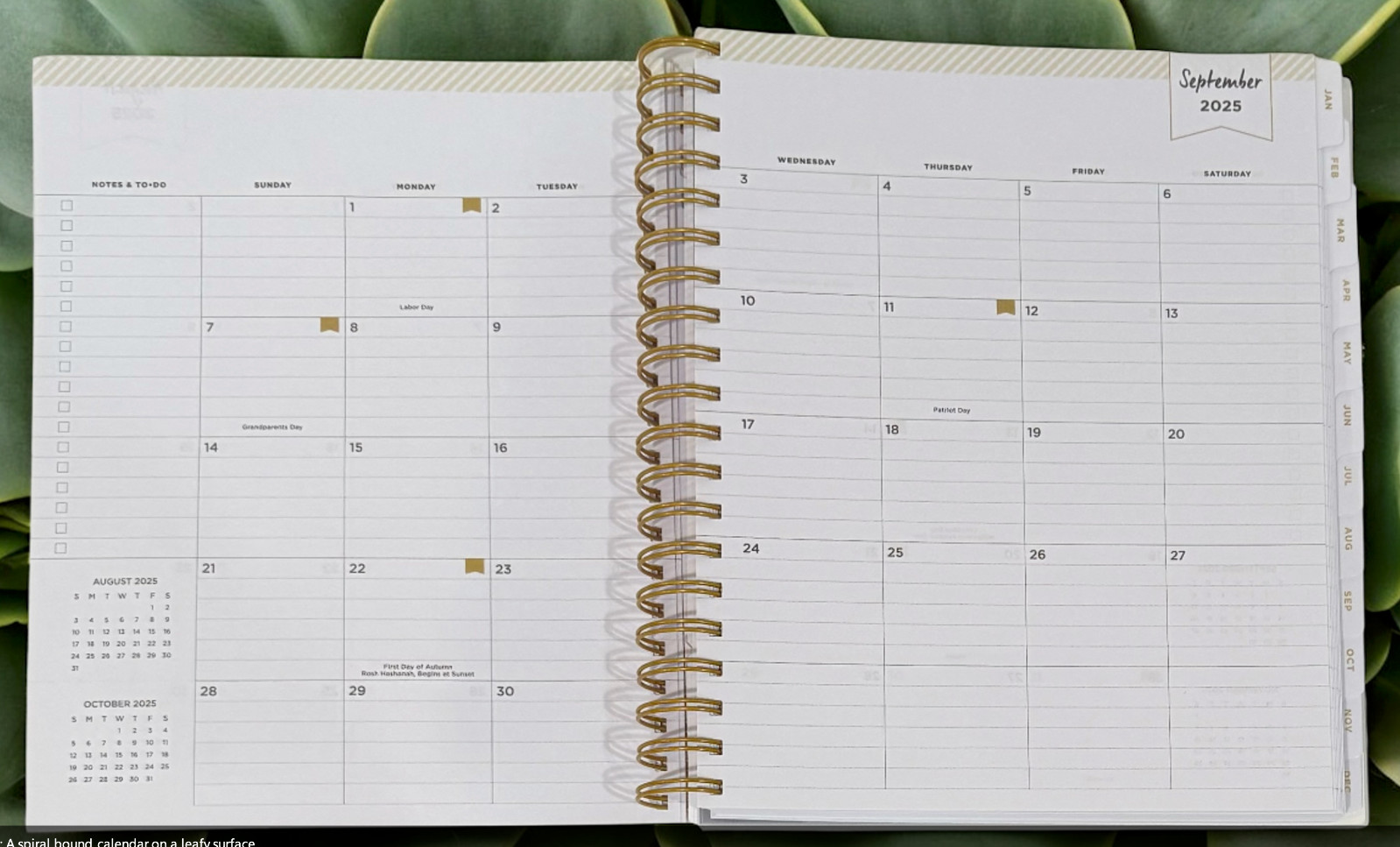 2026 Aurora Boreal Gradient Daily/Monthly Planner Gift Set