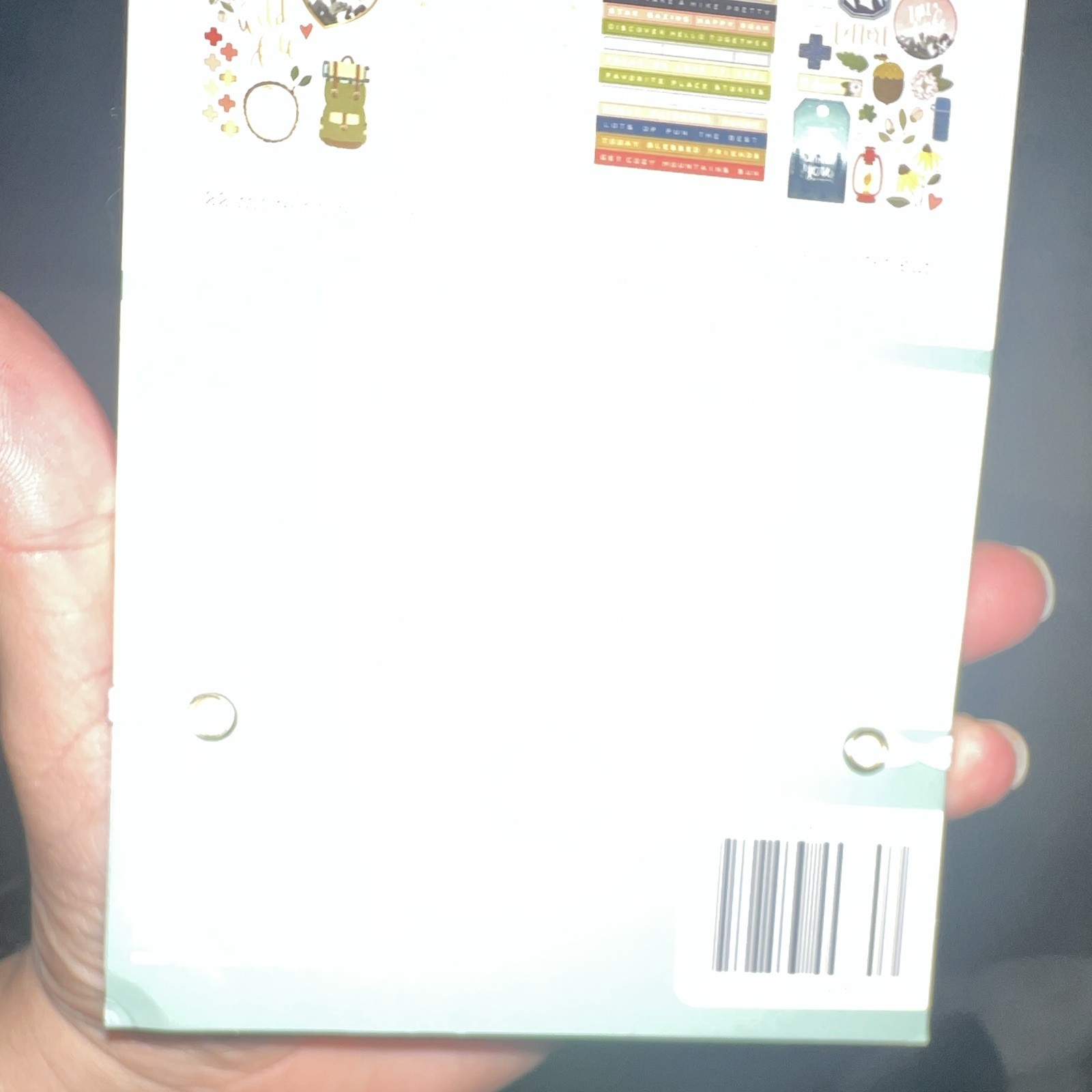 Happy Planner one canoe two classic BIG Sticker Book 30 Pages 1519 Pieces NEW