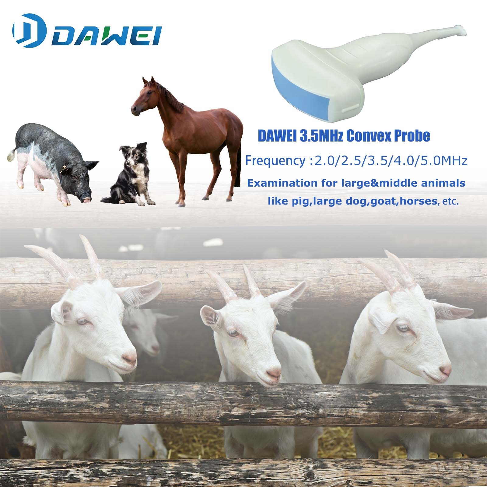 DAWEI Laptop Vet Ultrasound Machine Scanner Convex For Horse,Cow,Large Animals