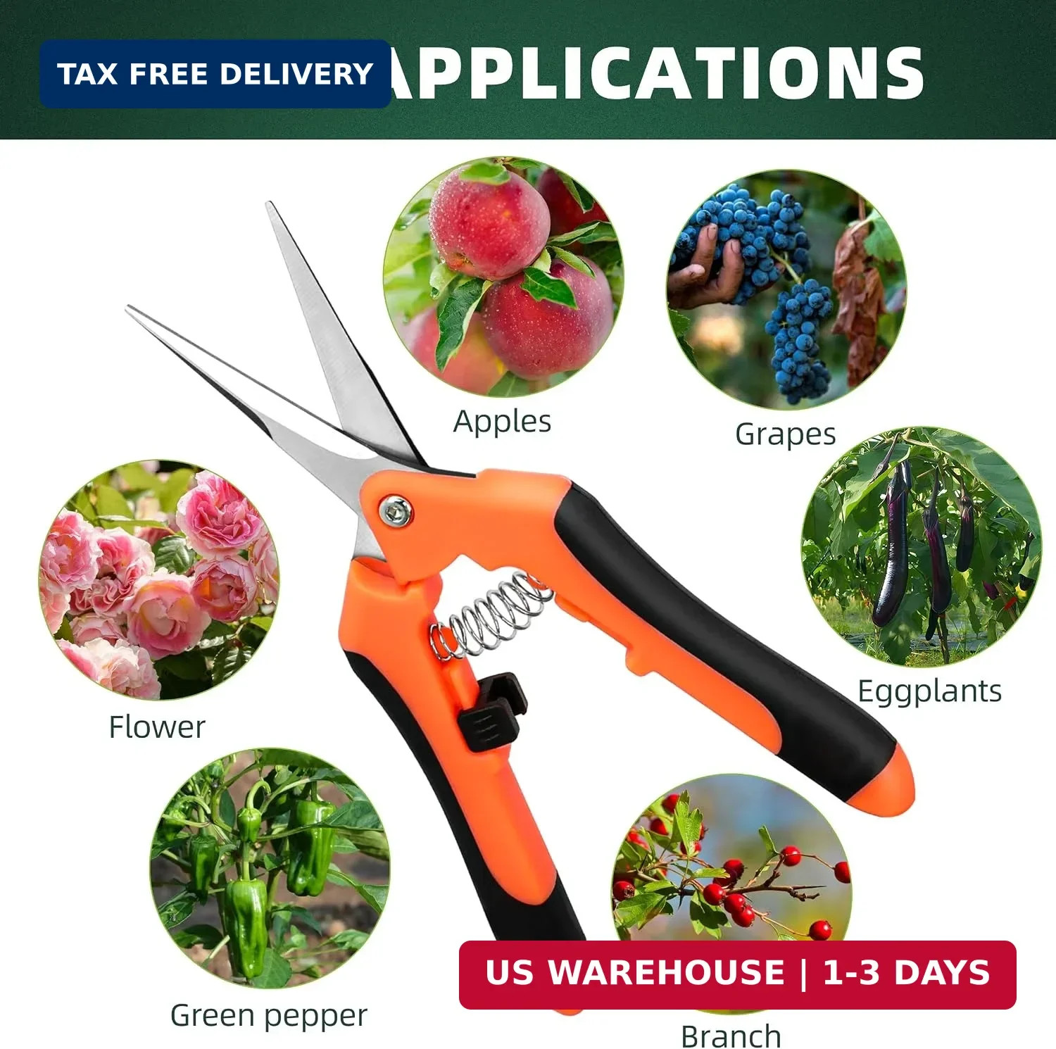 EWPJDK 3 Pack Garden Pruning Shears Scissors Clippers Stainless Steel | Gardenin