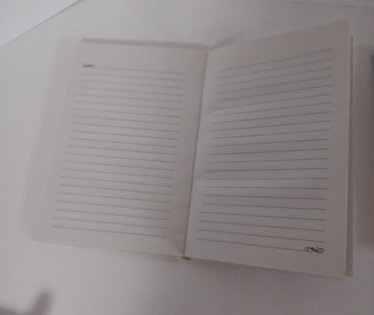 Journals Diary Books 2 Lot Set Diaries Writing Thoughts Memories Lined Notebooks
