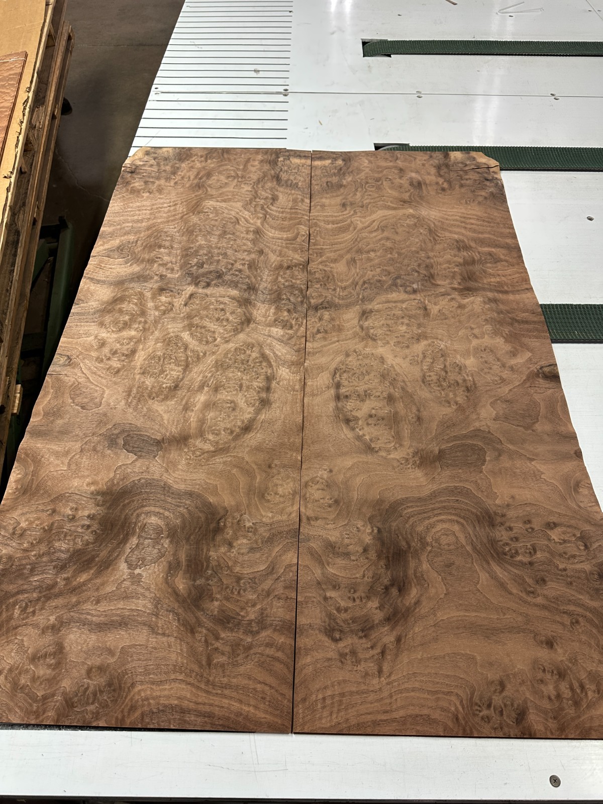 Walnut Burl Raw Wood Veneer 2 sheets 50″ x 18″ 522E