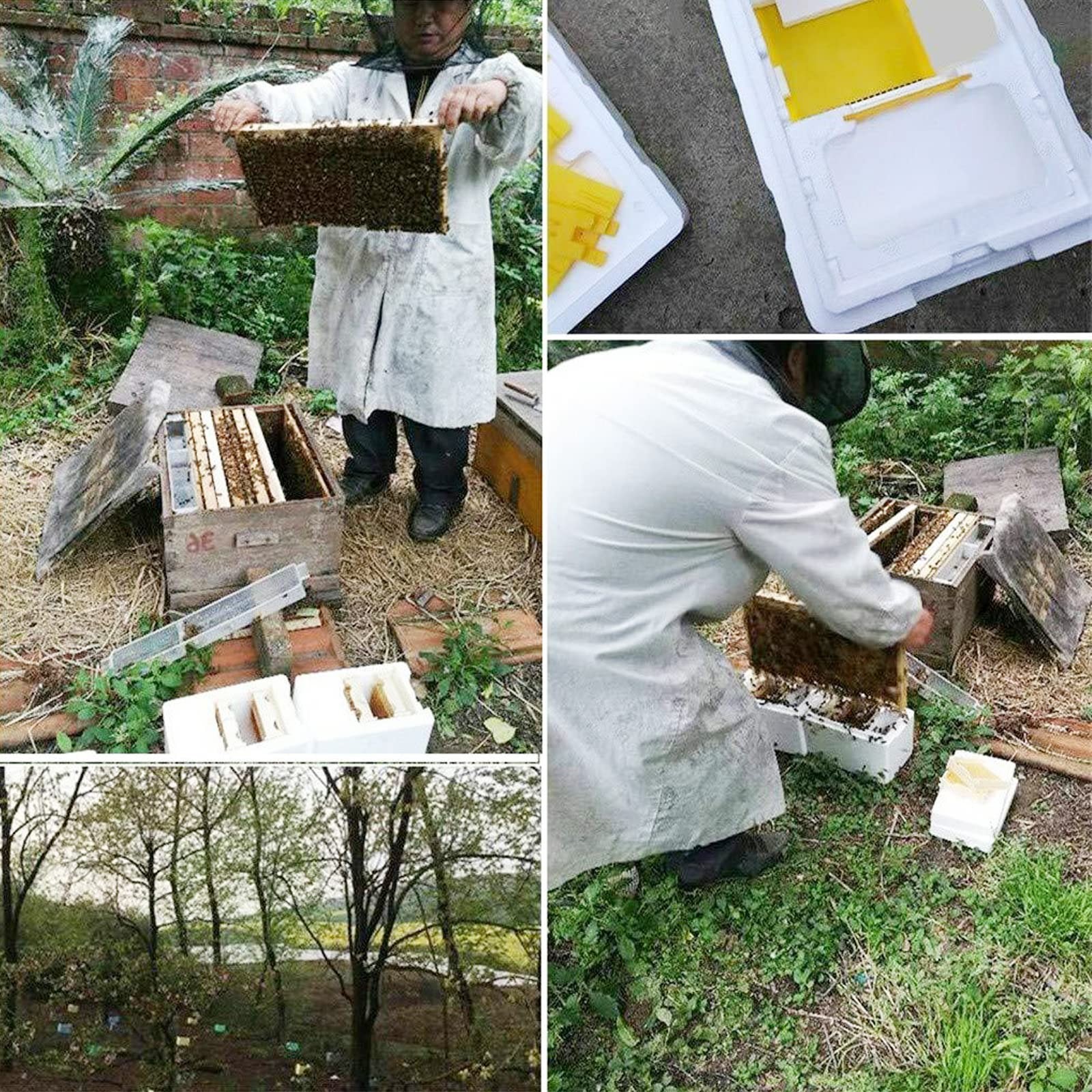 Mini Mating Nuc Box Queen Breeding Box Beekeeping Equipment Foam Queen Rearing H