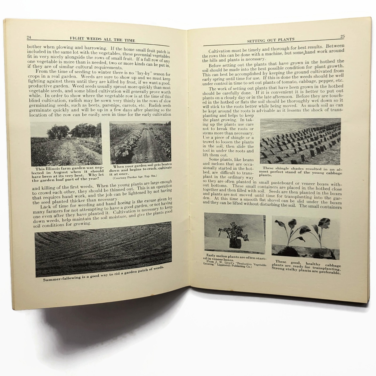 Vintage 1943 WWII Have A Victory Garden Booklet International Harvester Booklet