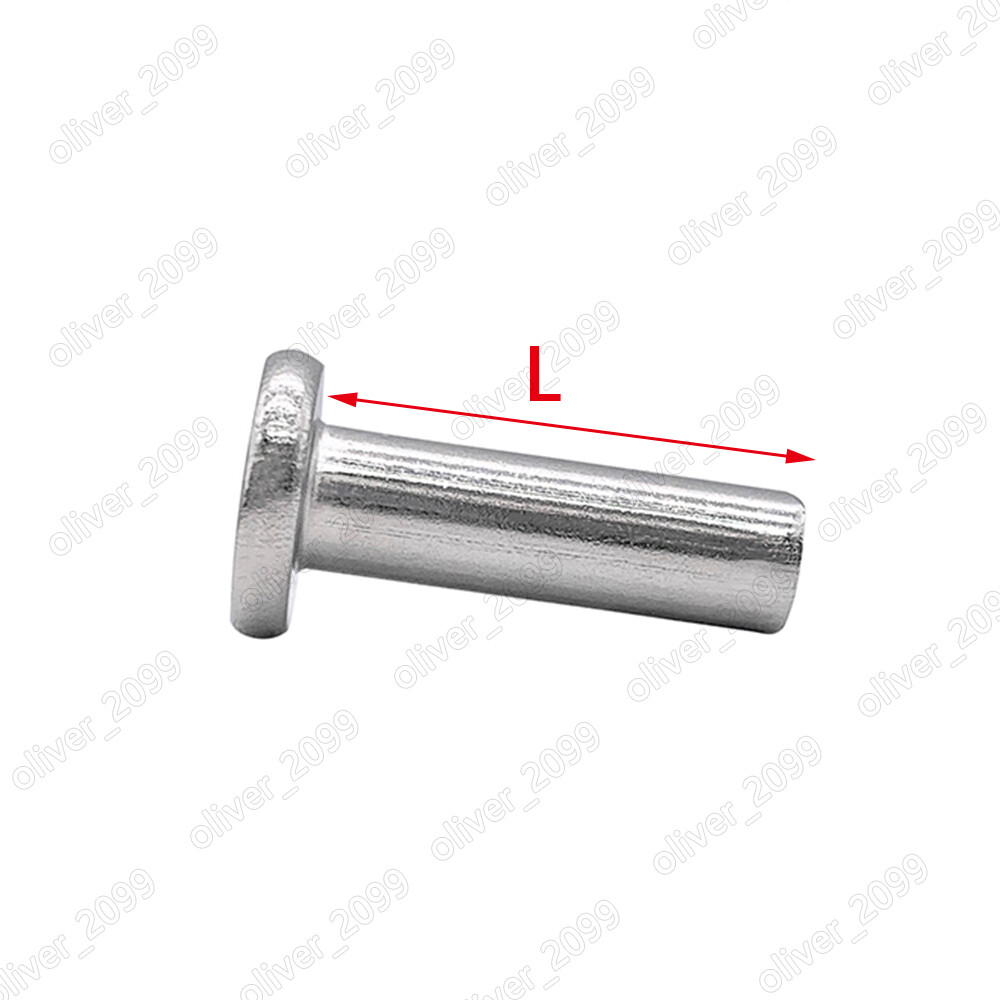304 Stainless Steel Flat Head Rivets M2/M2.5/M3/M4/M5/M6/M8