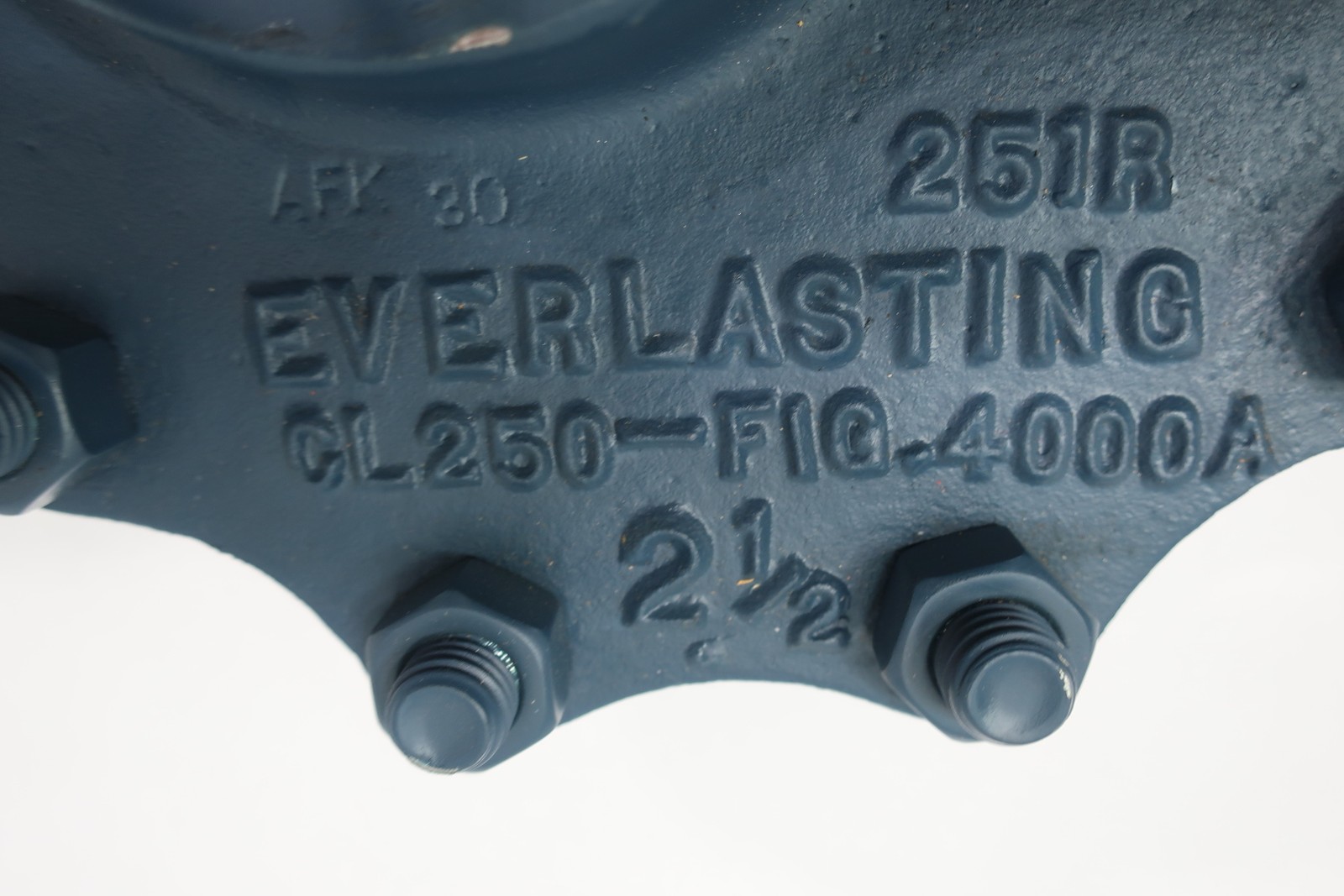 Everlasting Valve 4000A Blowdown Valve 2-1/2in 250