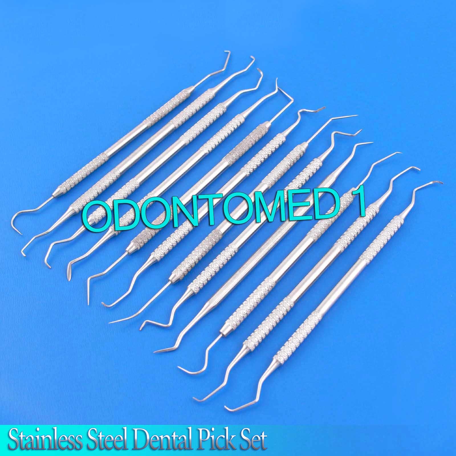 12 PIECE STAINLESS STEEL DENTAL PICK SET – EXCELLENT QUALITY BRAND NEW PR-0089