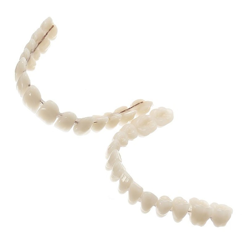 28pcs/set Resin Teeth Denture Manufactured Artificial Preformed Dentition