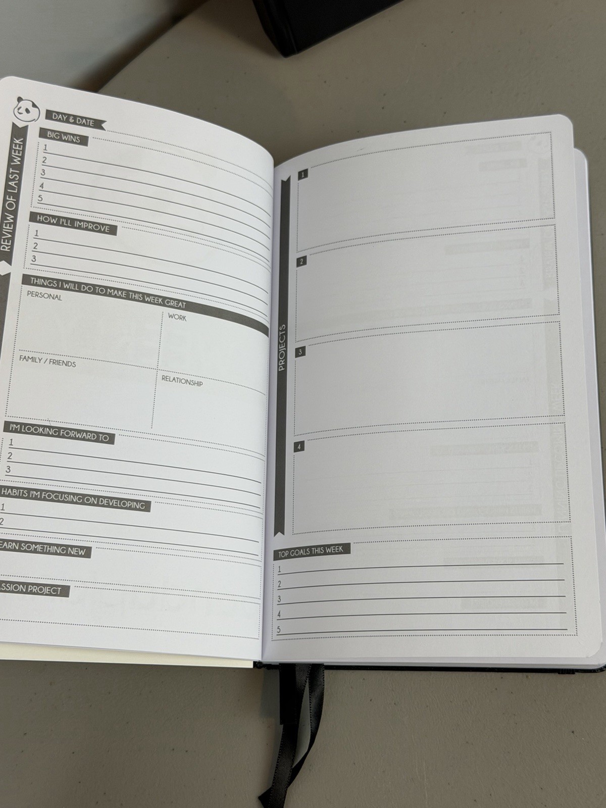 Panda Planner Cossa Planner Daily Monthly Weekly Undated Lot of 2