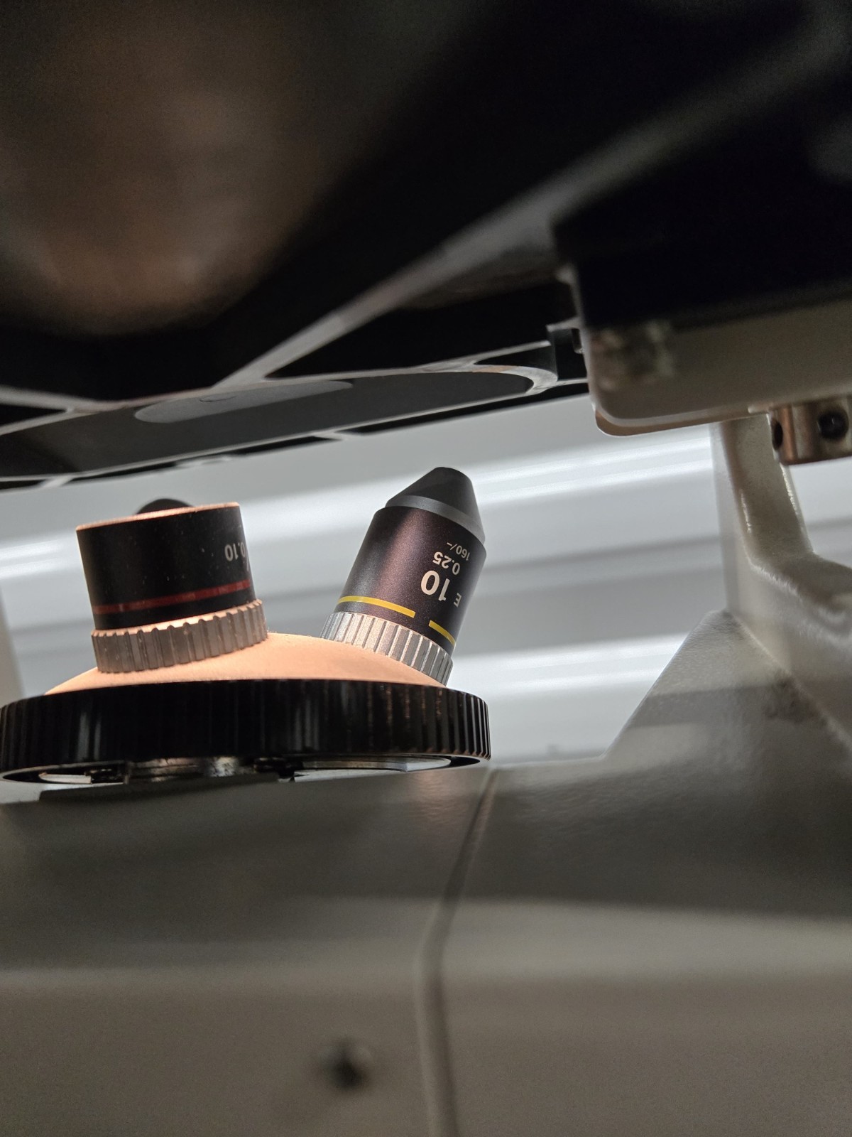 Nikon TMS Inverted Phase Contrast Trinocular Microscope / 3 Objectives