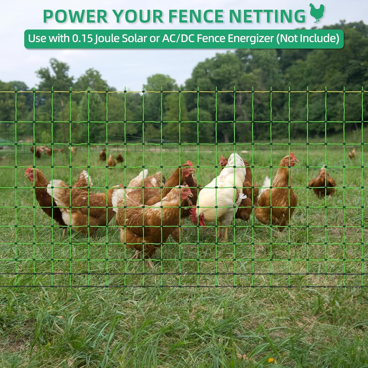 41.5″H x 164’L Poultry Netting Electric Fence,Electric Fencing for Farms,Ranches