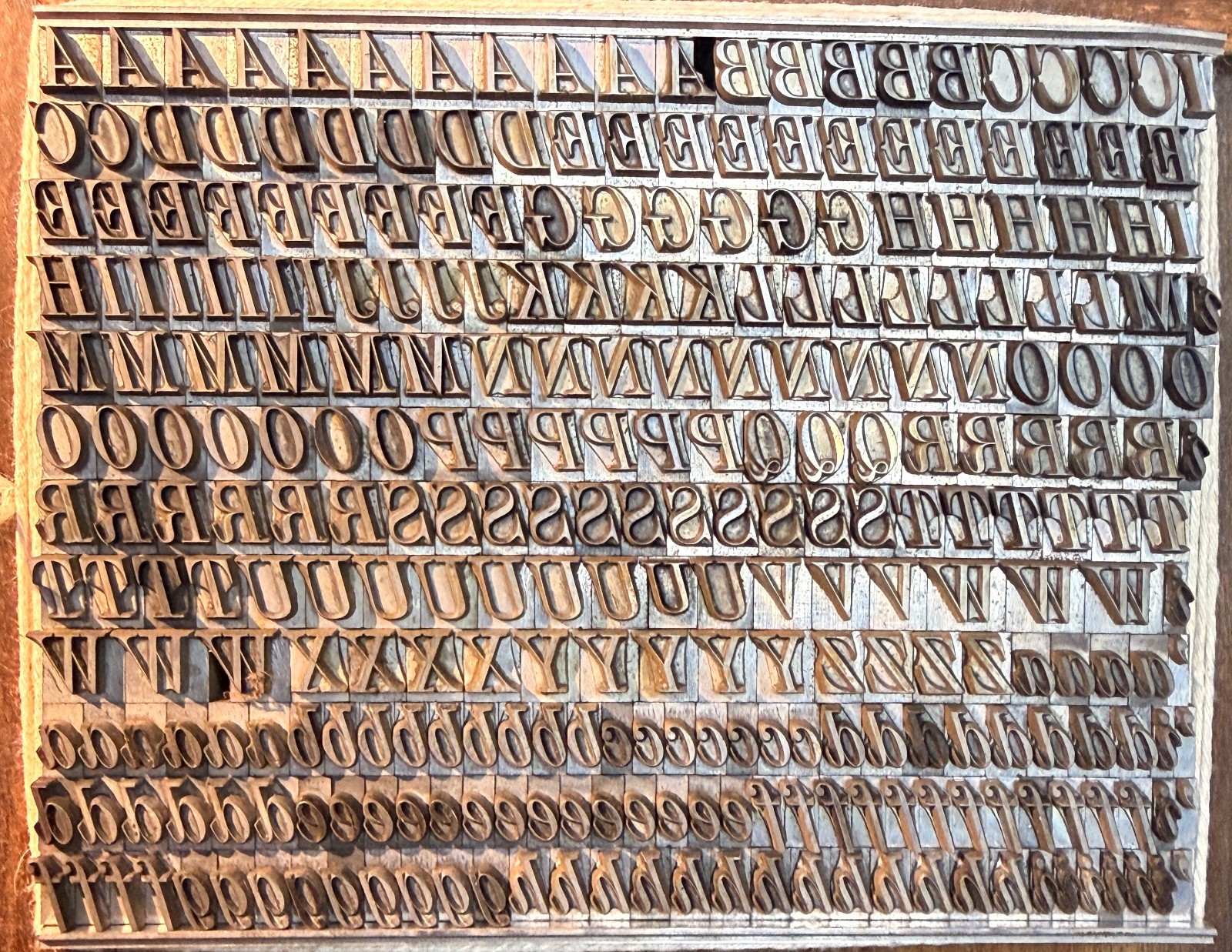 24 pt Torino Italic (Nebiolo) type for letterpress printing