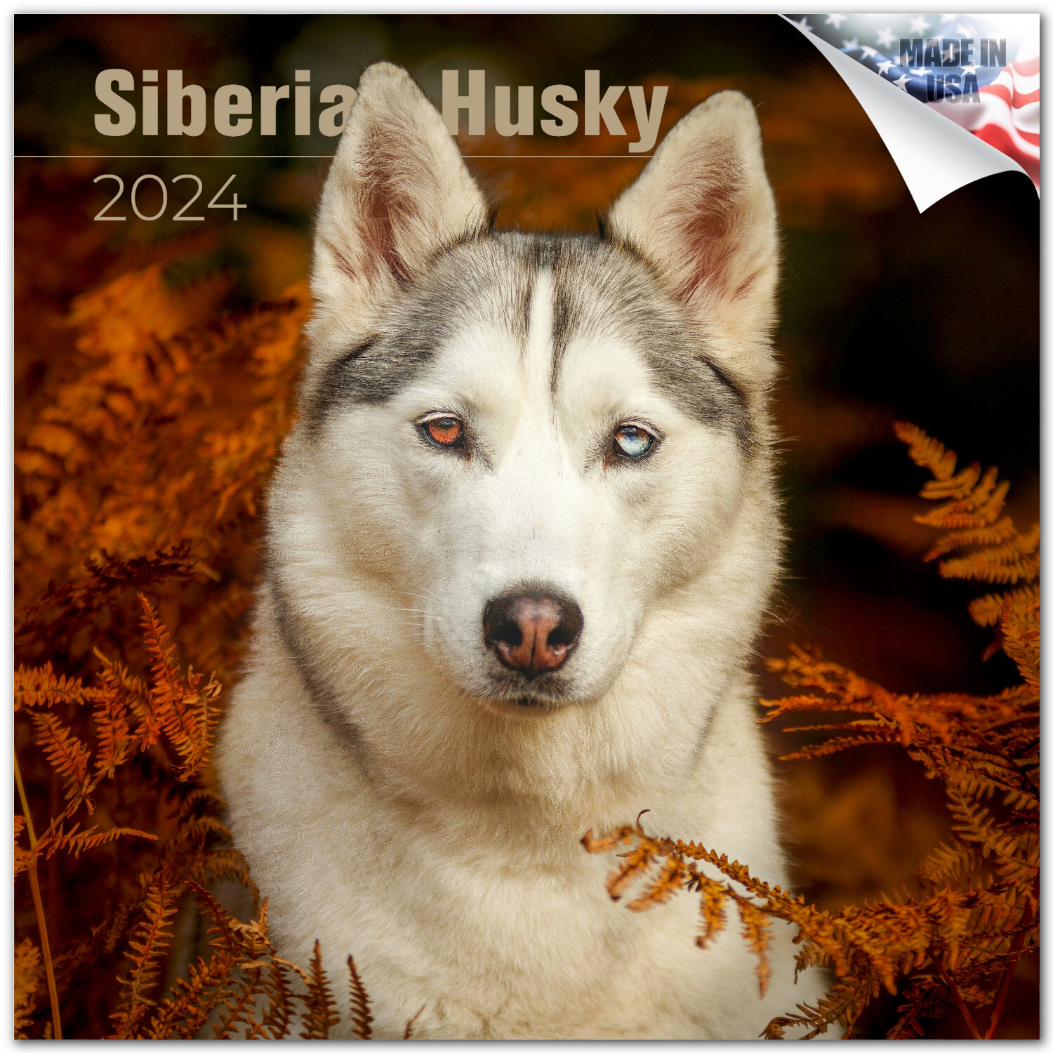 Siberian Husky Dog Breed Calendar 2024 FULL SIZE 12×24 Made in USA