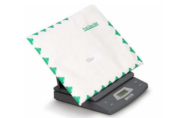 Brecknell 325 Electronic Portable Postal Parcel Scale 25 lb x 0.1 oz, Gray, AC