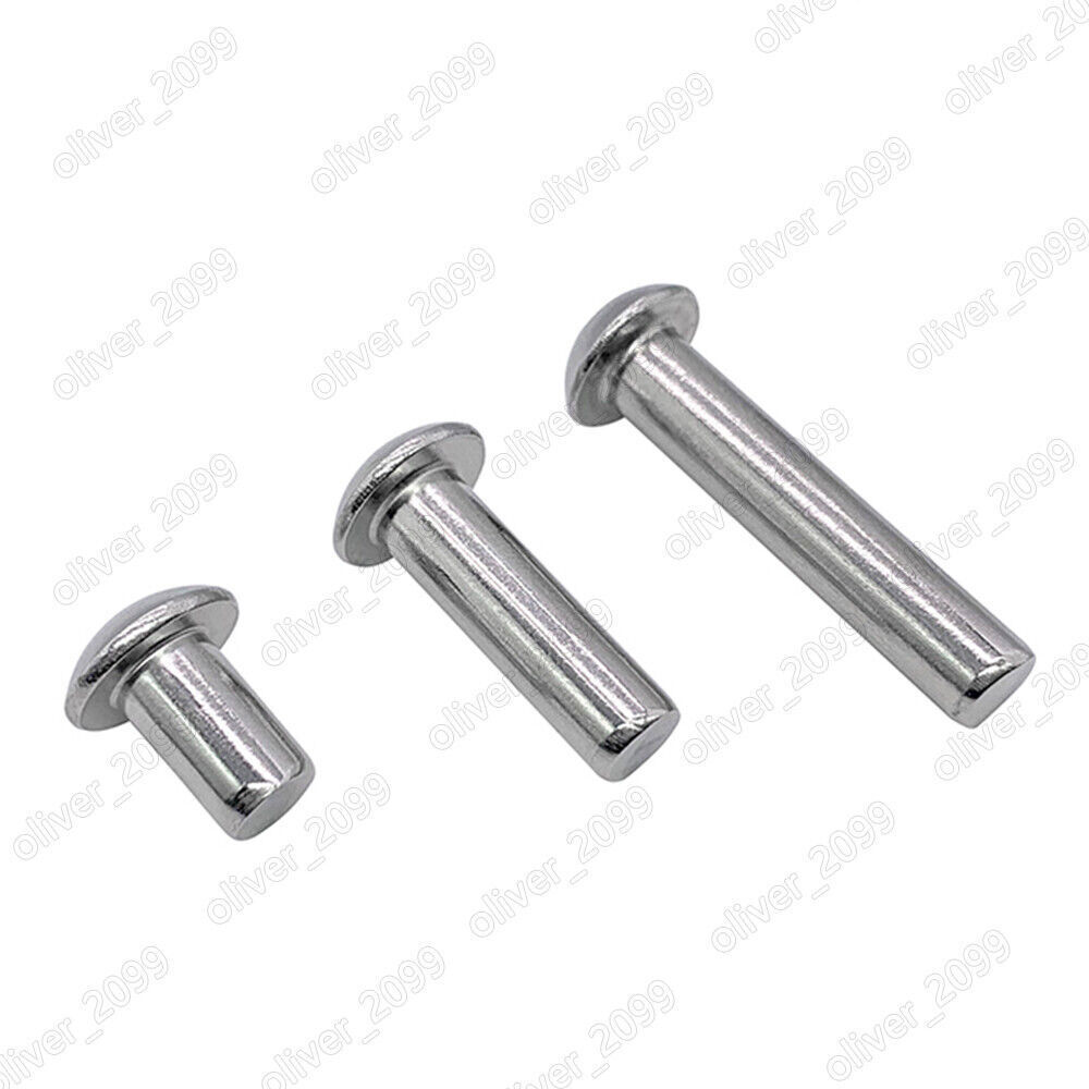 304 Stainless Steel DIN660 Round Head Rivets M3 M4 M5 M6