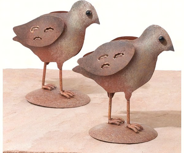 Regal Art and Gift Quail Chick