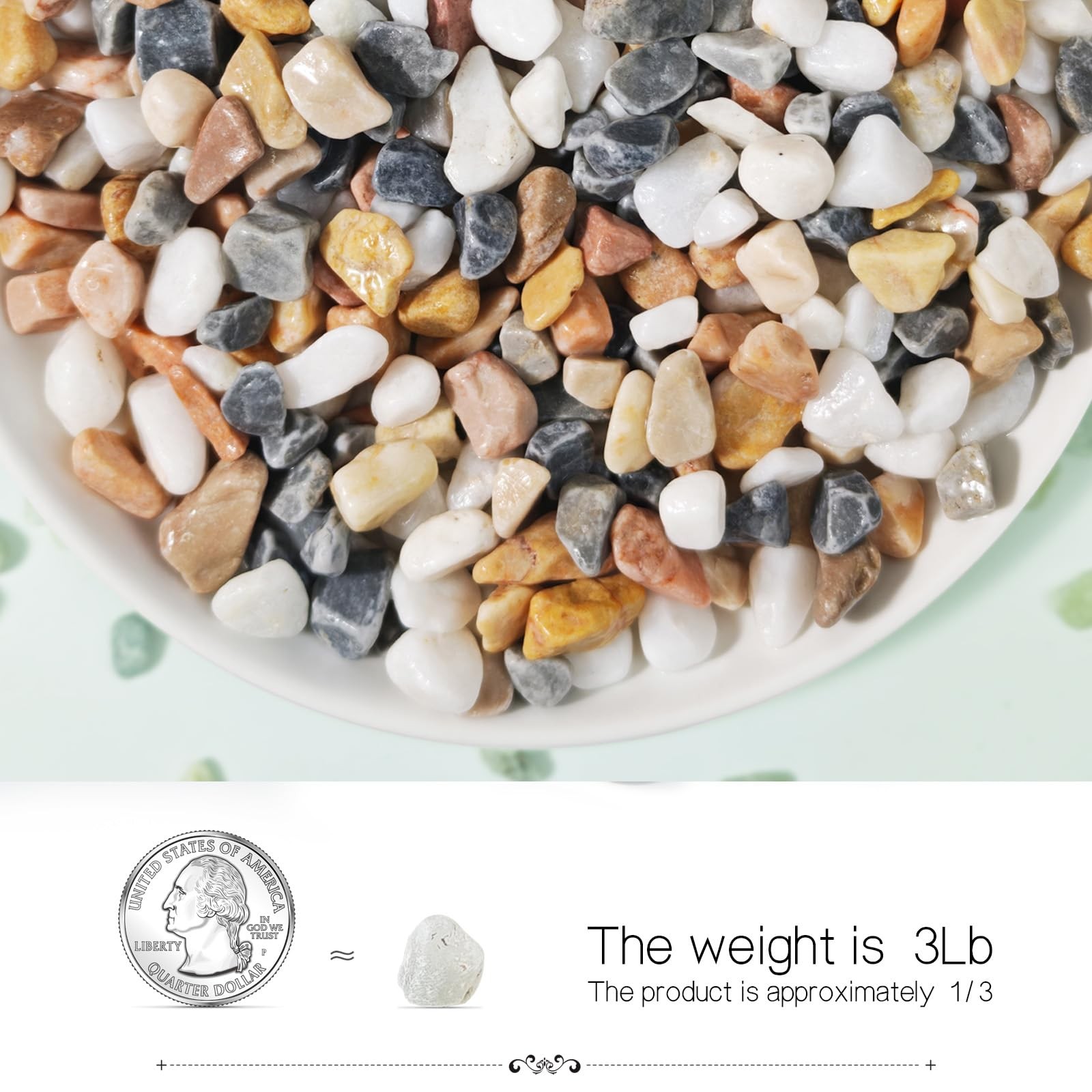 3Lb Decorative Pebbles for Indoor Plants, Succulents, Aquariums, Landscaping