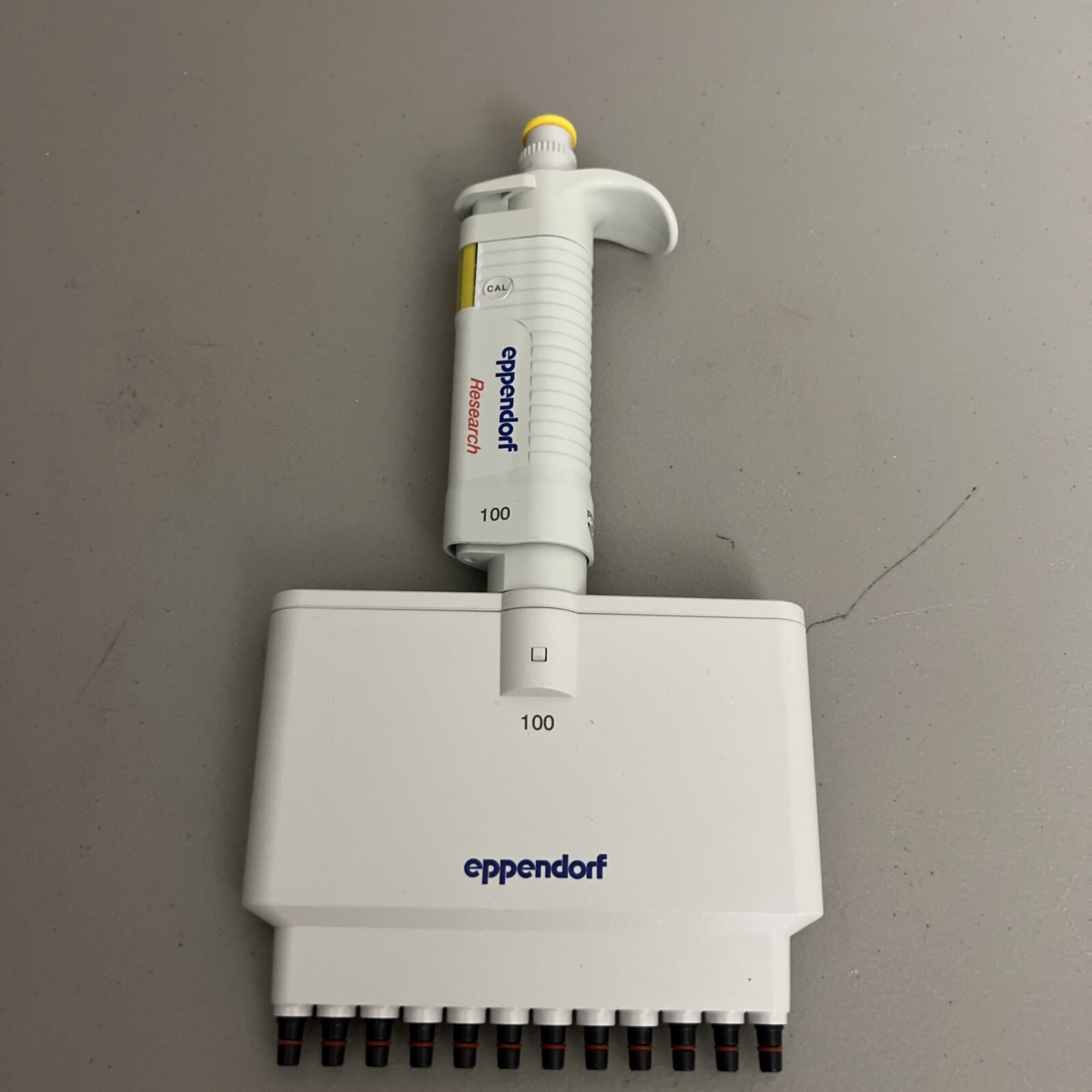 Eppendorf Research 12 Channel Pipette 100 10-100 uL Pipetman Pipettor