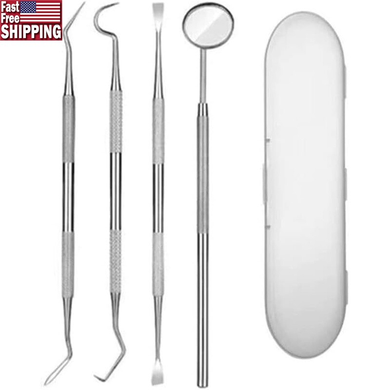 4PCS Dental Tools Set Stainless Steel Dental Picks Teeth Cleaning Kit W/ Case US