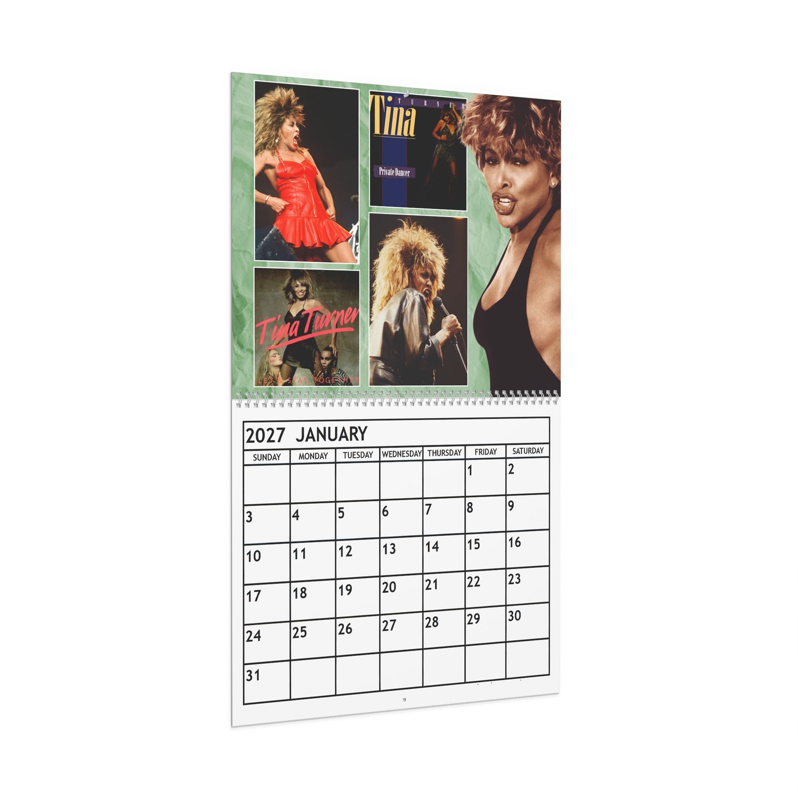 Tina Turner 2027 Wall Calendar – Home Decor, Music Fan Gifts, Monthly