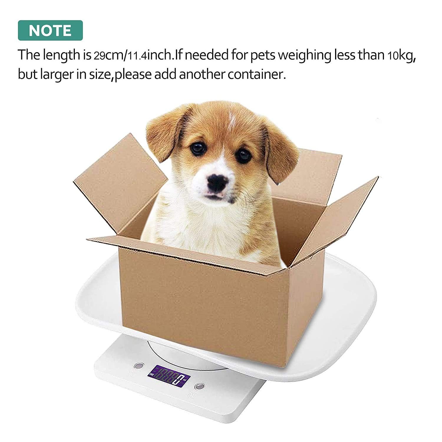 Digital Pet Scale LCD Electronic Small Animals Weighing Scale, Kitchen Food S…