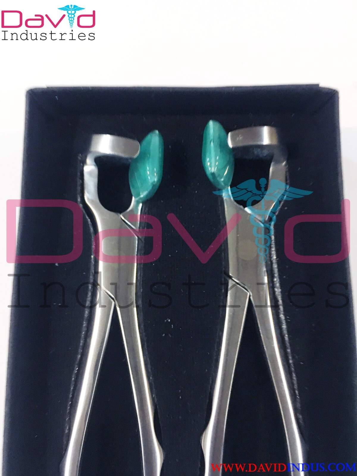 6 PCs Set Dental Physics Forceps Standard Series Plus Molar 100 BUMPERS Free
