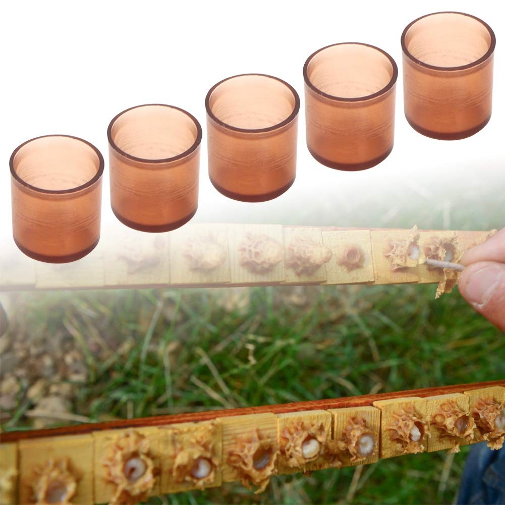 Tiiyee Queen Rearing Cell Cup Holders Honey Bee Keeper Grafting Kit Brown