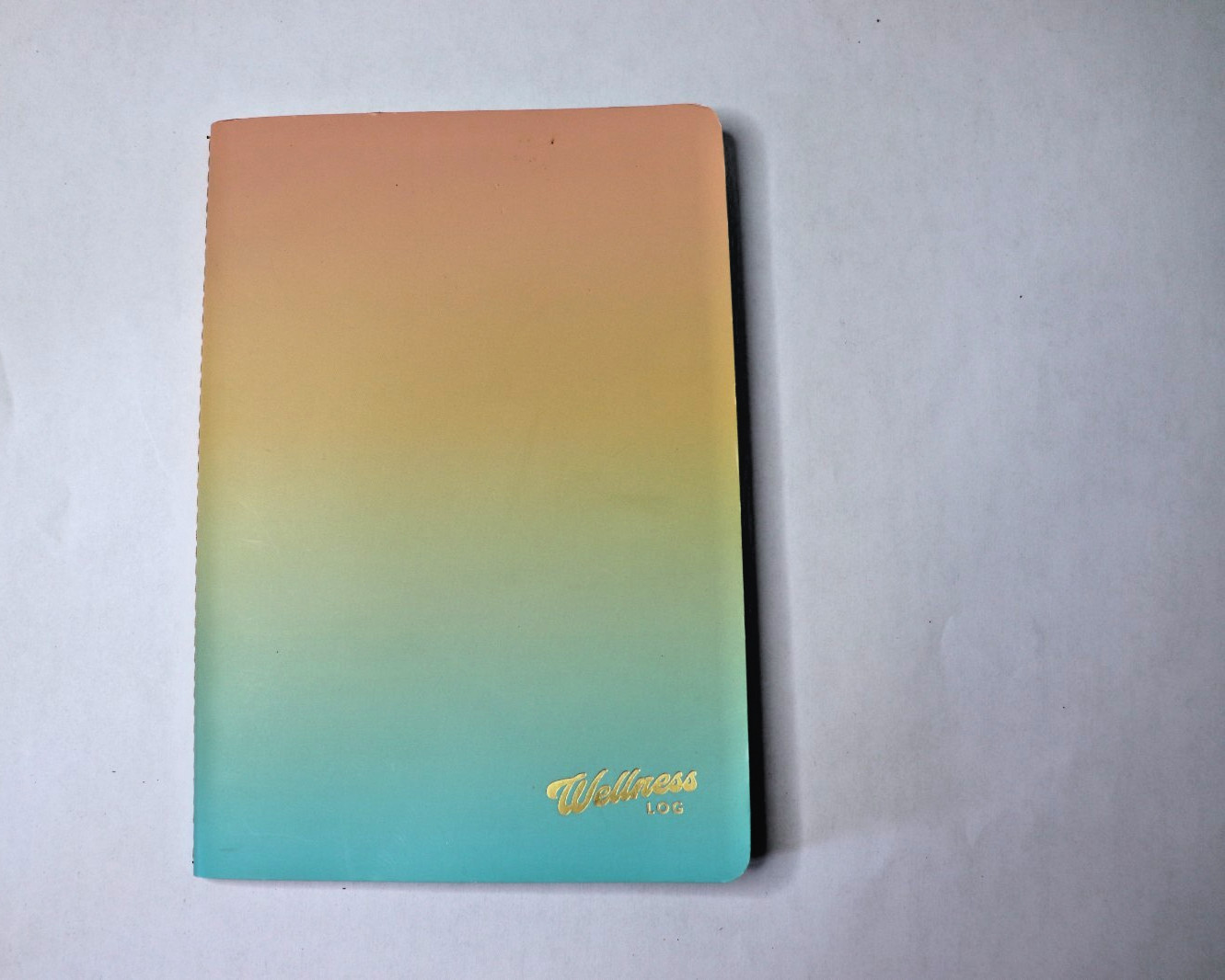 Erin Condren Planner Wellness Log Gradient