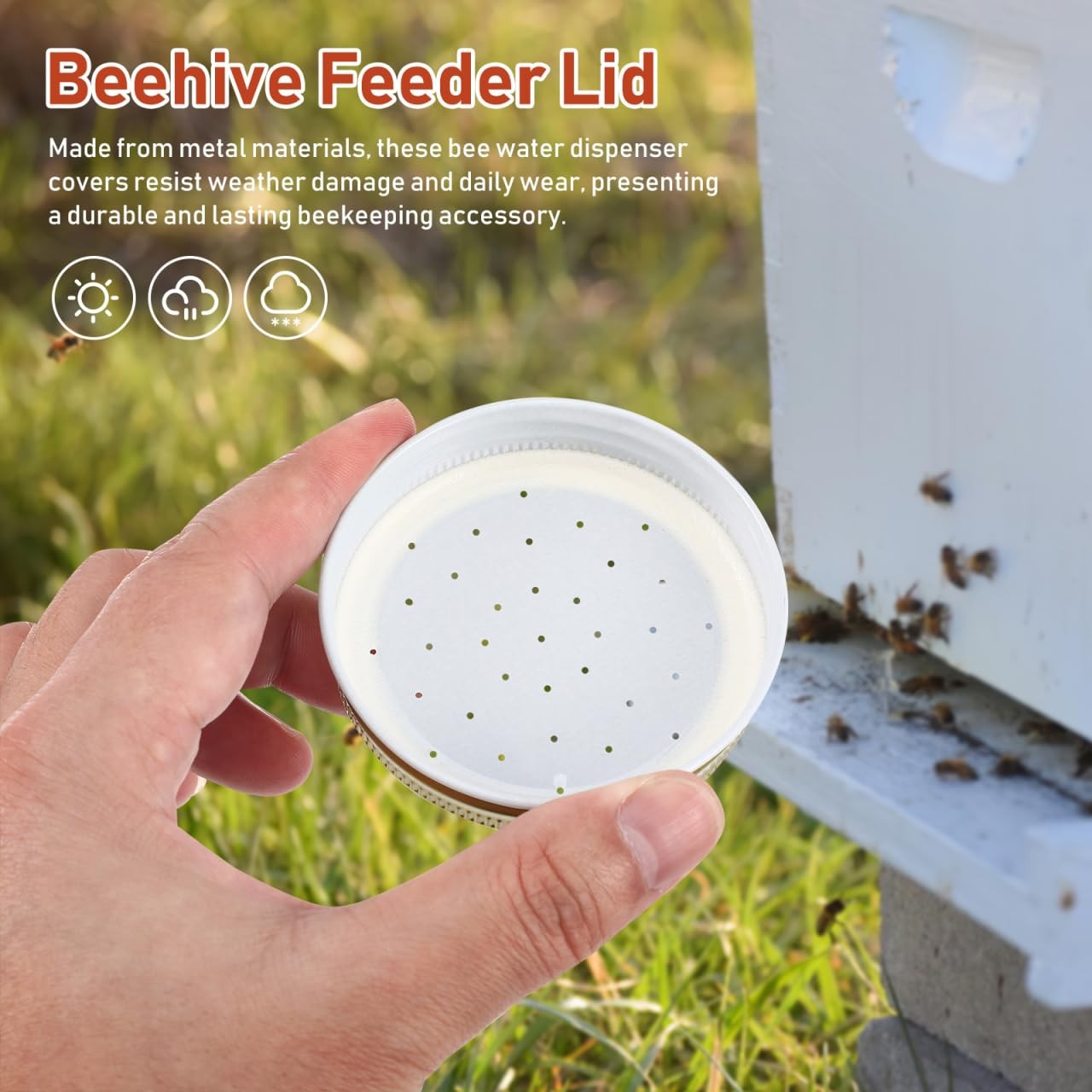 Homoyoyo 8-Pack Bee Feeder Lids for Mason Jar – Metal Bee Feeders Entrance Be…