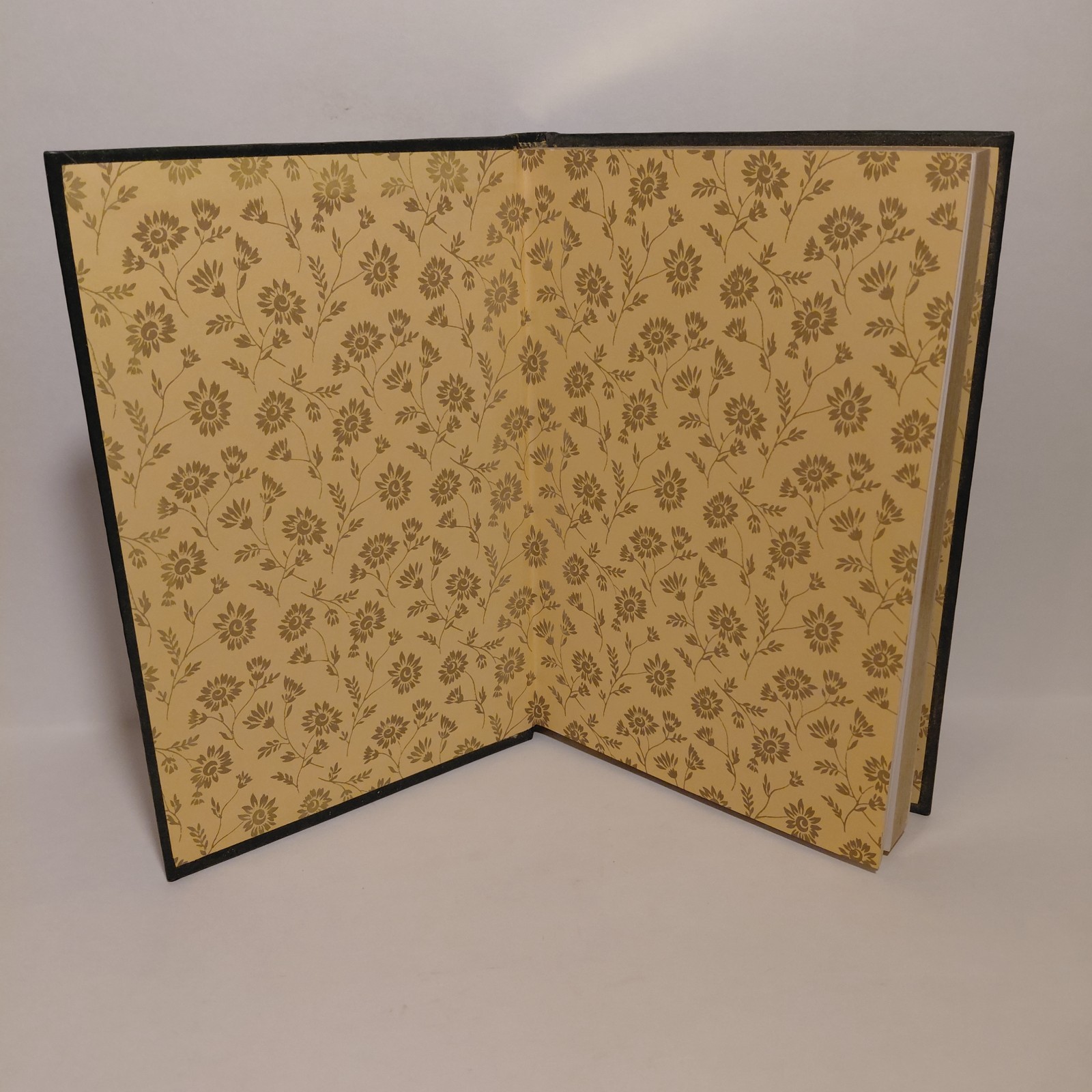 Vintage Anything Book™ Hardcover Blank Unlined Pages Journal, Diary, Sketch Pad