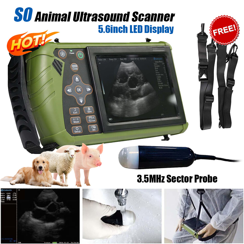 Dawei Portable Pet Ultrasound Handheld Veterinary Machine For Goat Cattle Horse