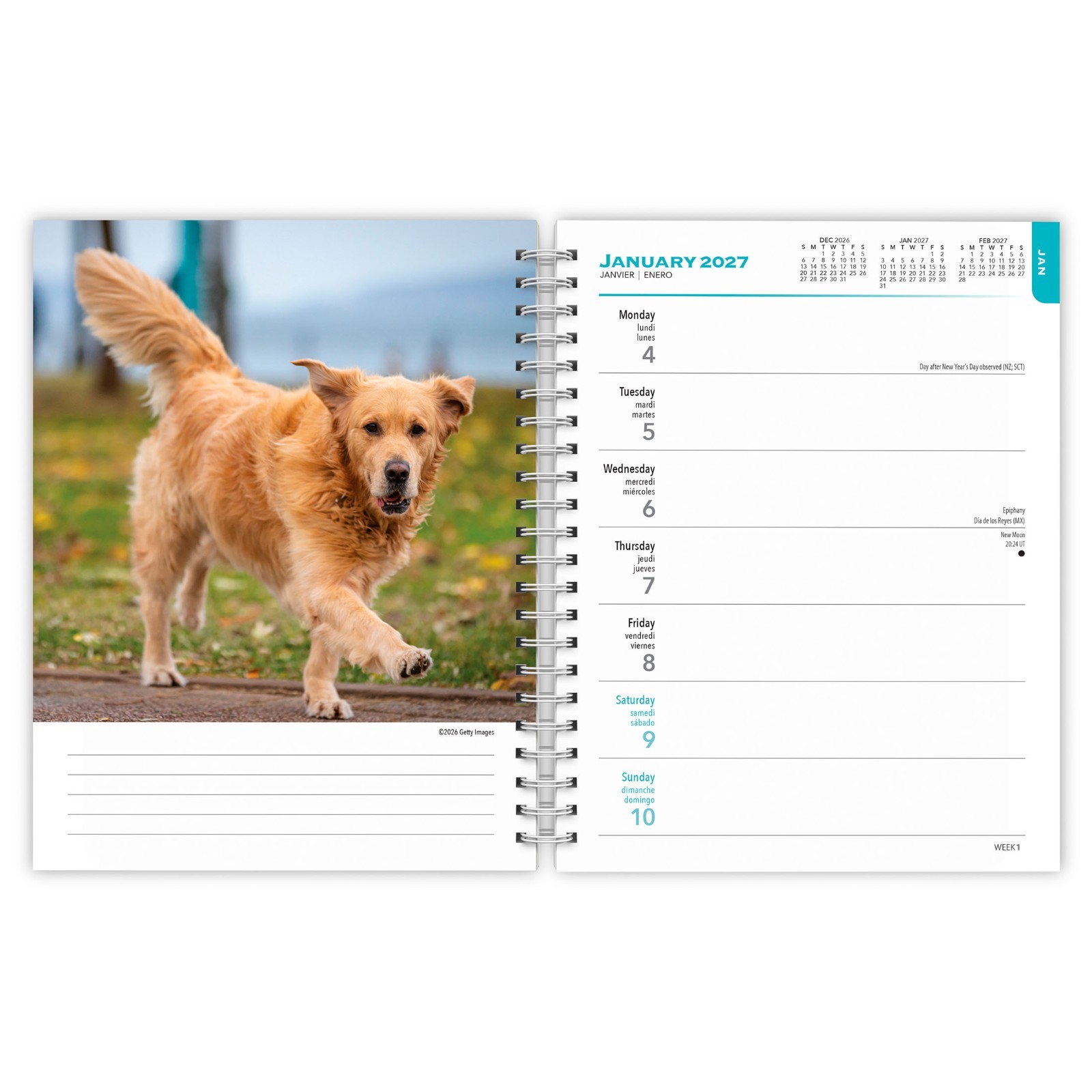 Golden Retrievers | 2027 6×7.75″ Spiral-Bound Wire-O Engagement Planner Calendar